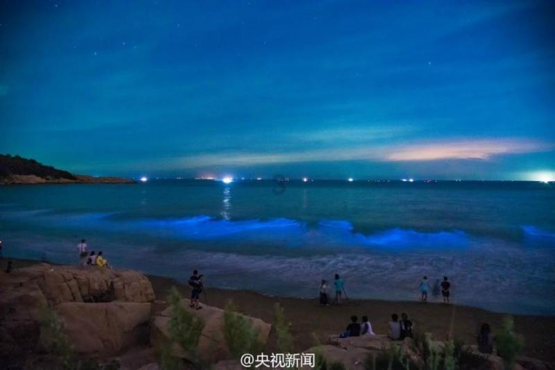 双桶洗衣机甩干电机怎么拆？