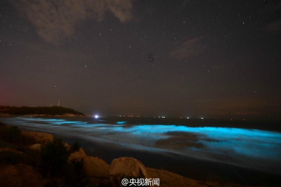 夏季纽扣裙