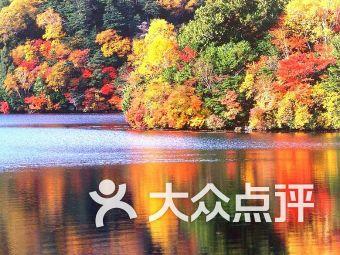 解答疑惑,尽在奥维互动地图 提高 清晰度问答平台