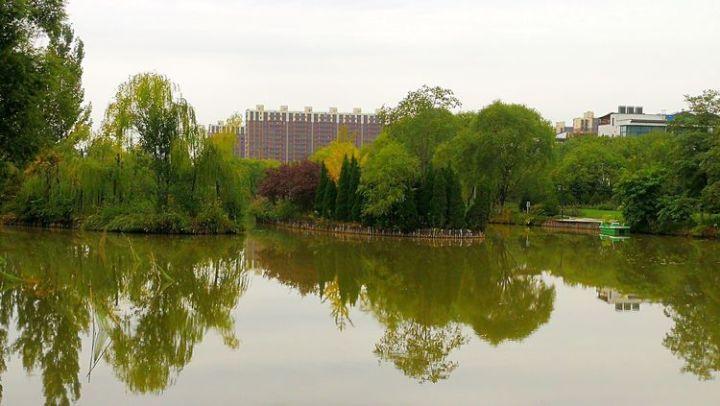 英语一国家线游戏画面