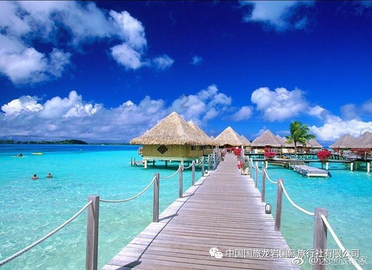 年终答卷｜张二冬：自然造化的馈赠，总能让人有满足感