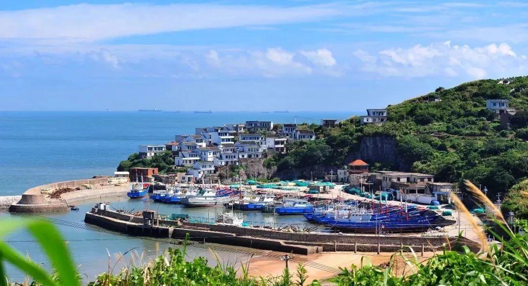 泡沫森林