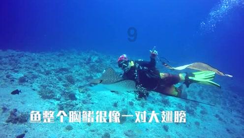 监狱建筑师