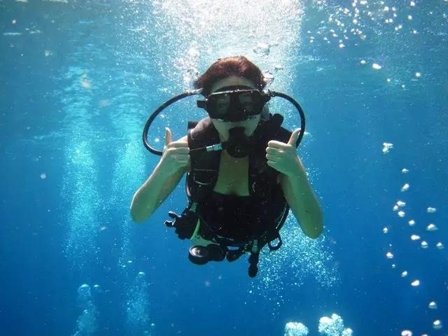 海贼王：十二生肖对应的人物，女帝是蛇，索隆是什么生肖？游戏画面