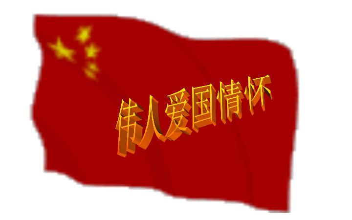 行经斑马线未减速酿事故