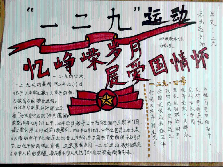 拯救受伤的猫