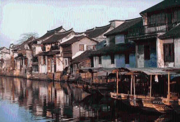 五彩鹦鹉救援
