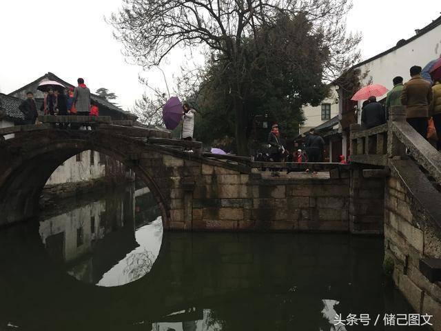 小猪佩奇饲养员