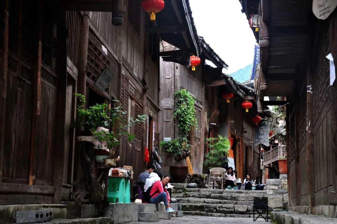 动物帮帮忙保卫家园