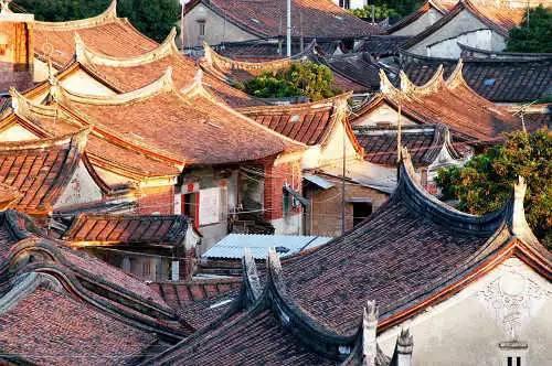 小艾比当营养师